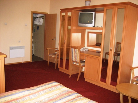 Venlinen hotellihuone